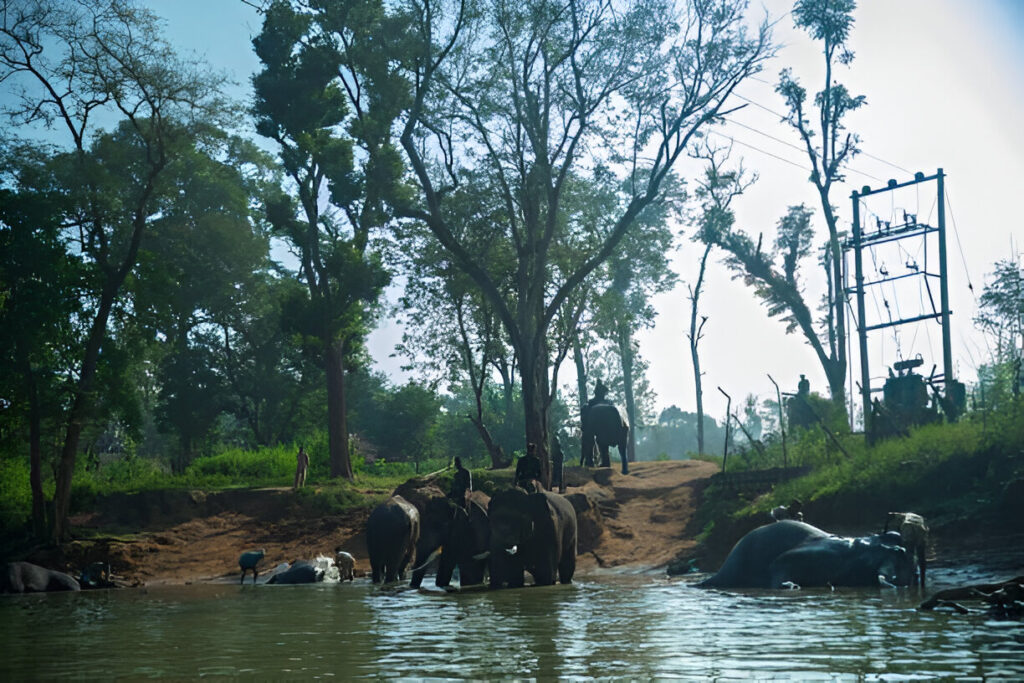 Coorg trip from Bangalore - Scenic view